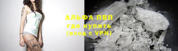 тгк Белокуриха