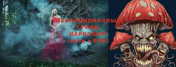 тгк Белокуриха