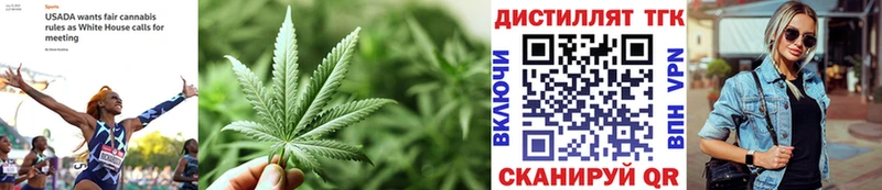 MEGA ТОР  Бородино  Дистиллят ТГК концентрат 