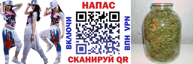 площадка какой сайт  Бородино  Канабис индика 